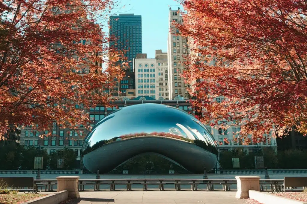 The University of Chicago
